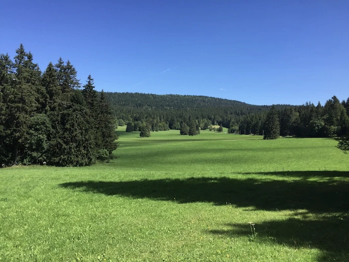 A hike in the Jura mountains on a sunny Tuesday afternoon, that's tempting isn't it?
