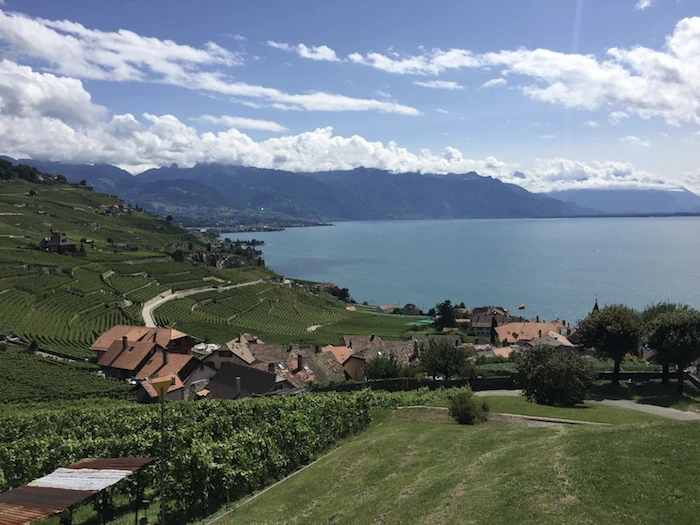 The best things in life are free — here the Lavaux vineyards with a majestic with on the Leman lake