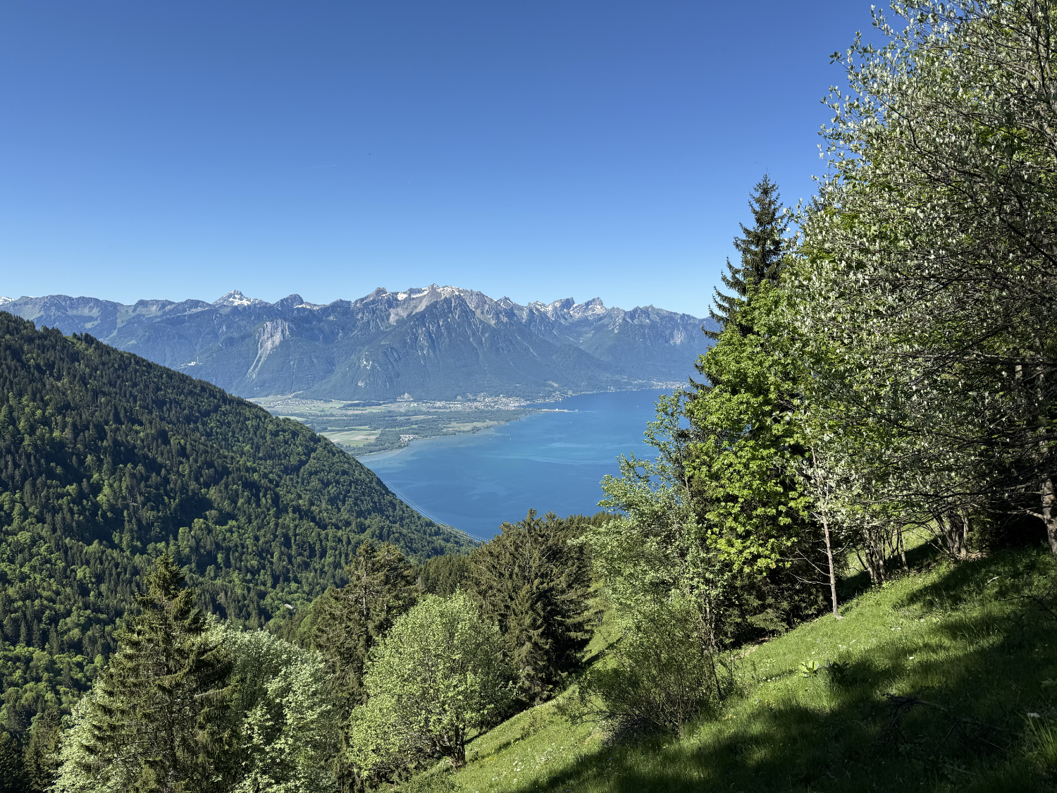 The ultimate luxury: a mid-week hike over Lake Léman in May