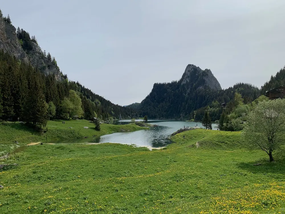 I'm looking forward to going on a hike to Lake Taney in the middle of the week (on a Tuesday morning for instance) when I'll be financially independent when I'm 40 years old in Switzerland