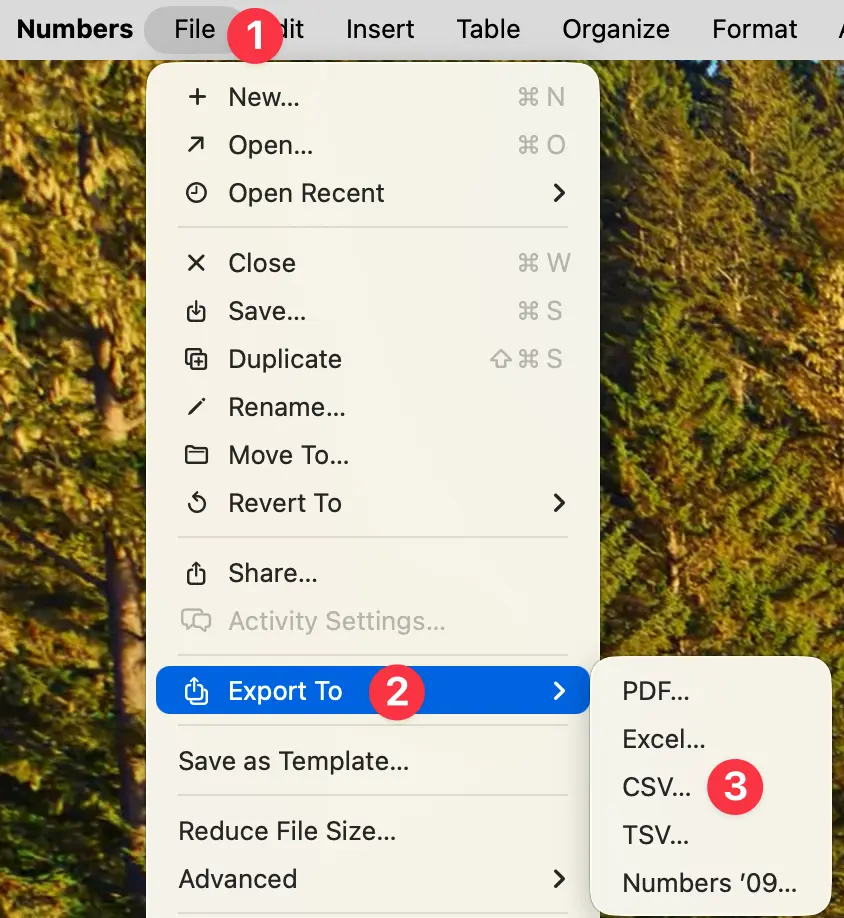 Exporting the Excel file to CSV format in Numbers on Mac
