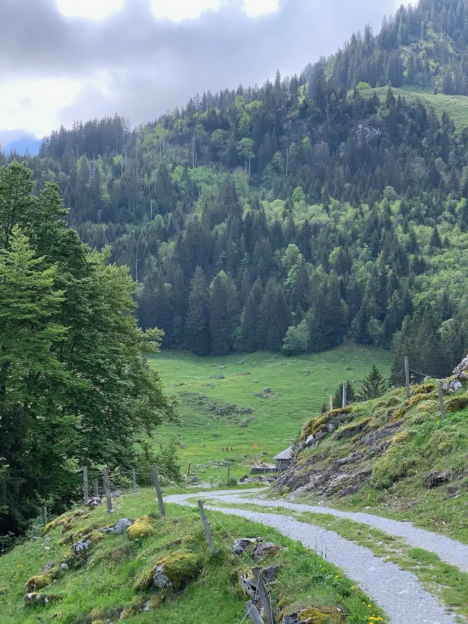 In the middle of a hike at Schwarzsee, when you can't see the start or the finish