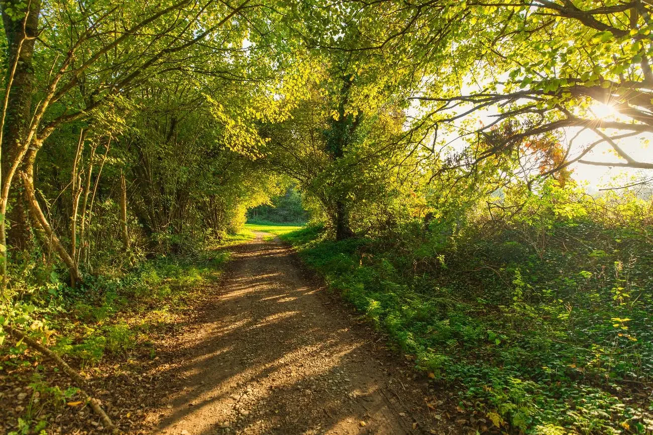 Et hop, un p'tit tour en forêt pour laisser redescendre tout ça après cette grande prise de décision (crédit photo: Atelier Picsel.ch)