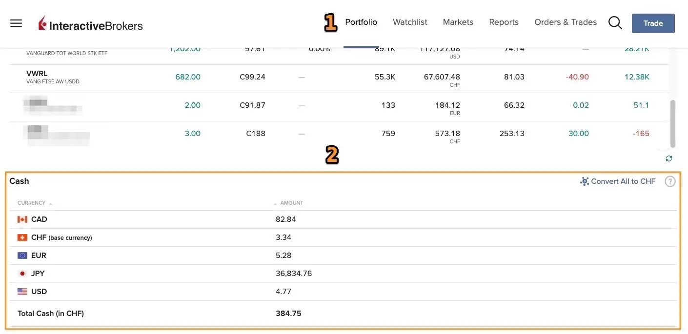 Viewing your investment portfolio and cash flow on Interactive Brokers: simple and effective