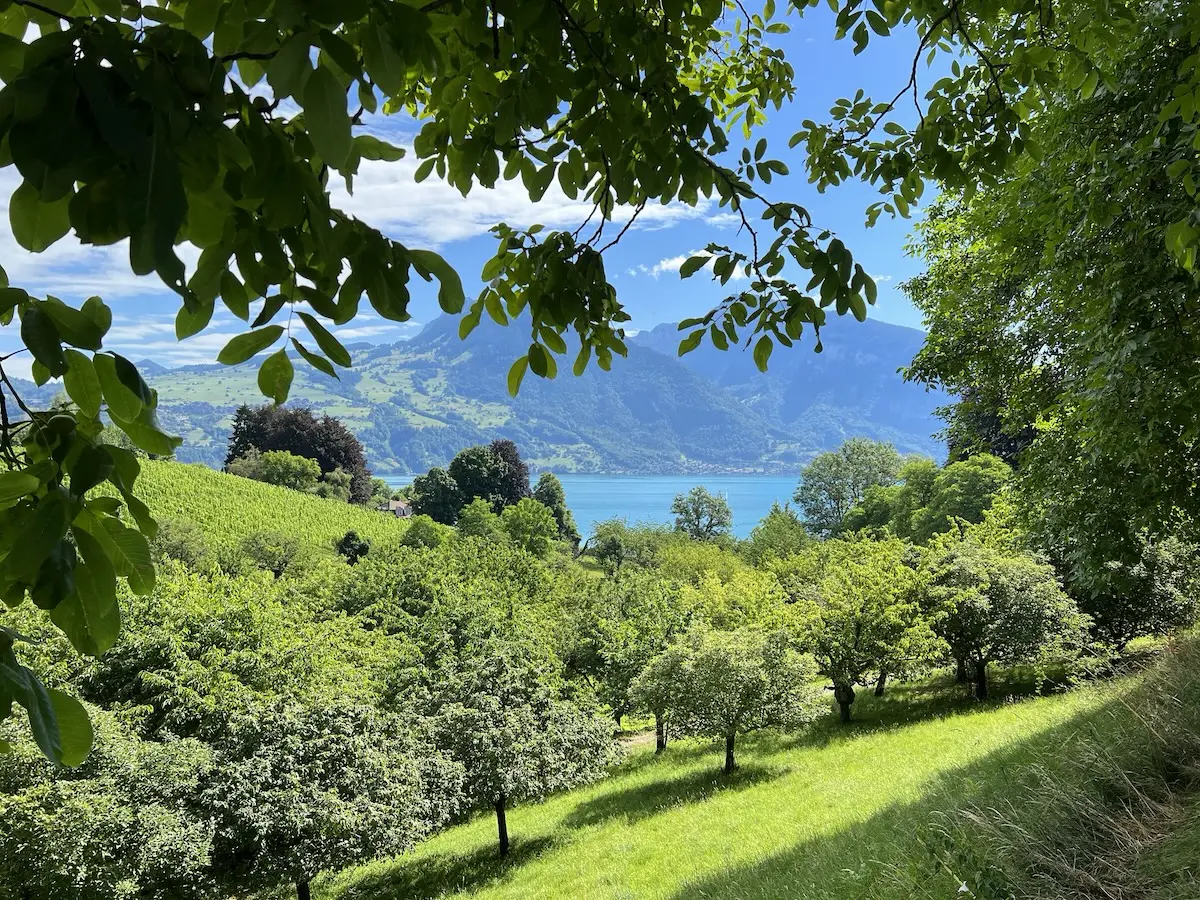 Spiez, am Thunersee: viel interessanter als diese Geschichten über Schweizer Säulen, aber dafür braucht's einen freien Kopf, sobald das Thema geklärt ist