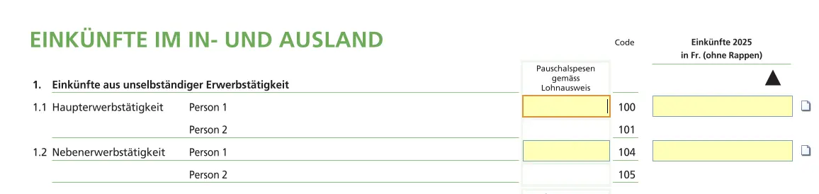 Input mask for salaried activity income with lump-sum expenses according to salary certificate