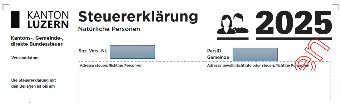 Generate tax return preview