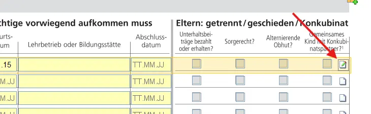 Detailansicht zur Angabe von Kindern bei getrennten Eltern oder im Konkubinat