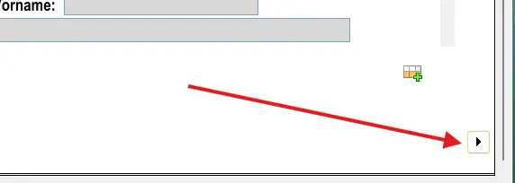 Navigation innerhalb des Kinderformulars mit Pfeil zum nächsten Kind oder Abschnitt