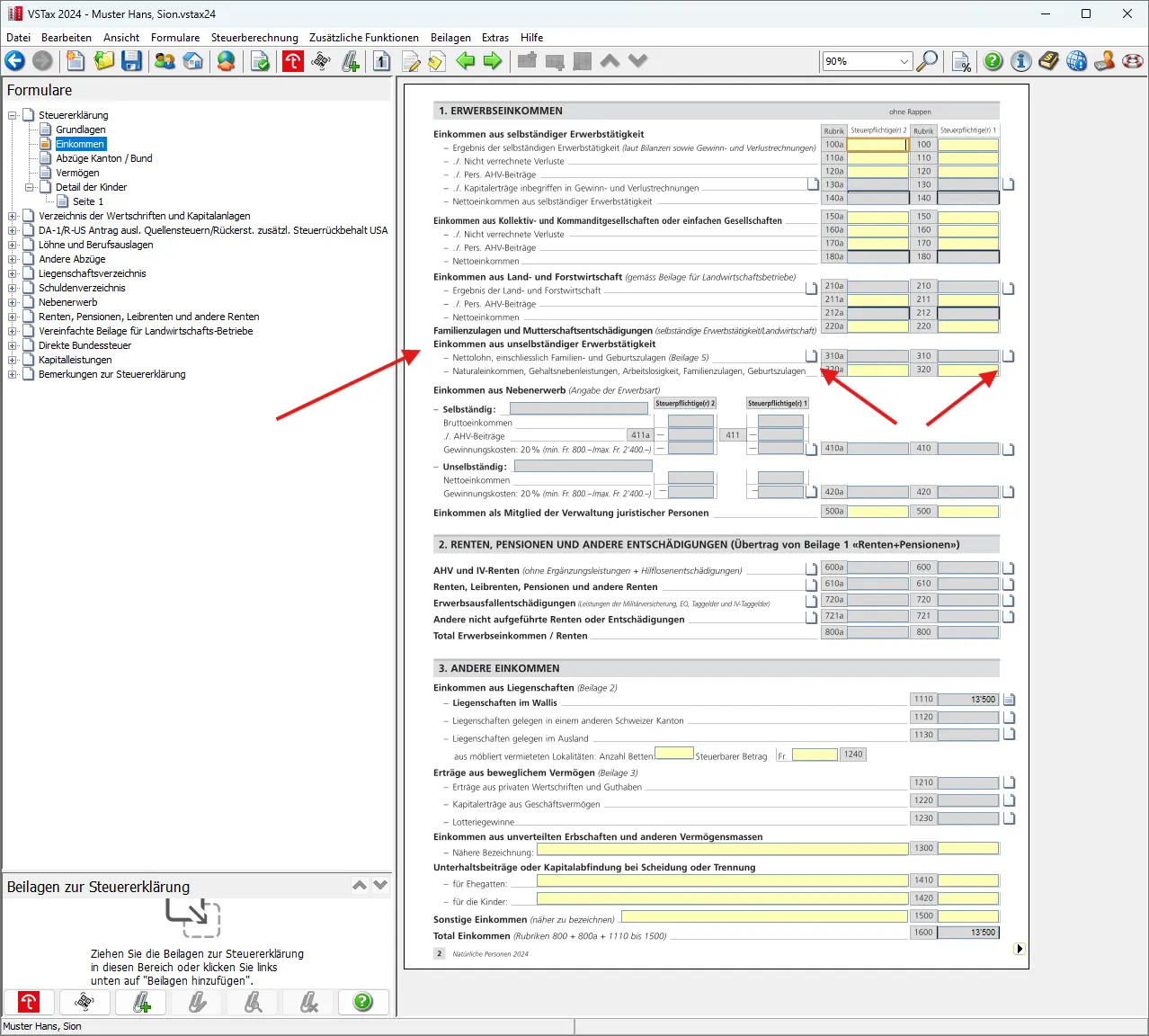 Markierter Abschnitt für Einkommen aus selbständiger Erwerbstätigkeit und Nebenerwerb